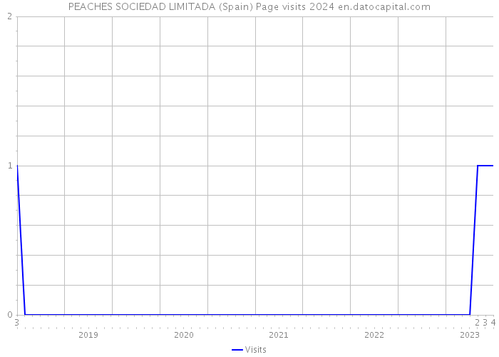 PEACHES SOCIEDAD LIMITADA (Spain) Page visits 2024 