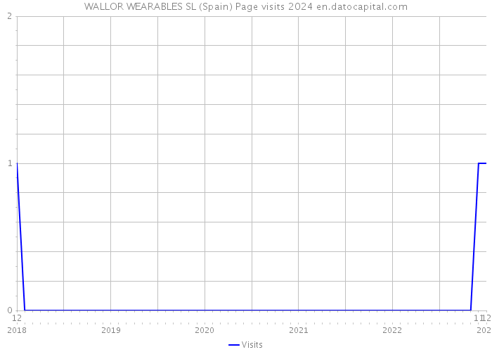 WALLOR WEARABLES SL (Spain) Page visits 2024 