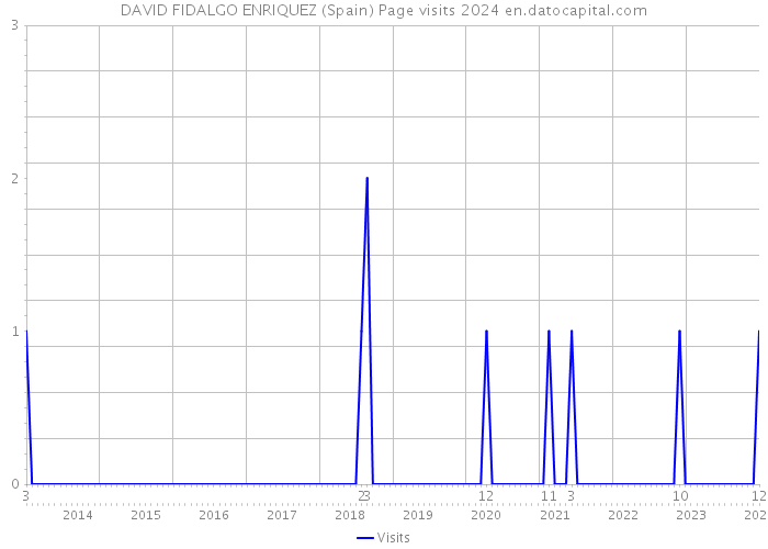 DAVID FIDALGO ENRIQUEZ (Spain) Page visits 2024 