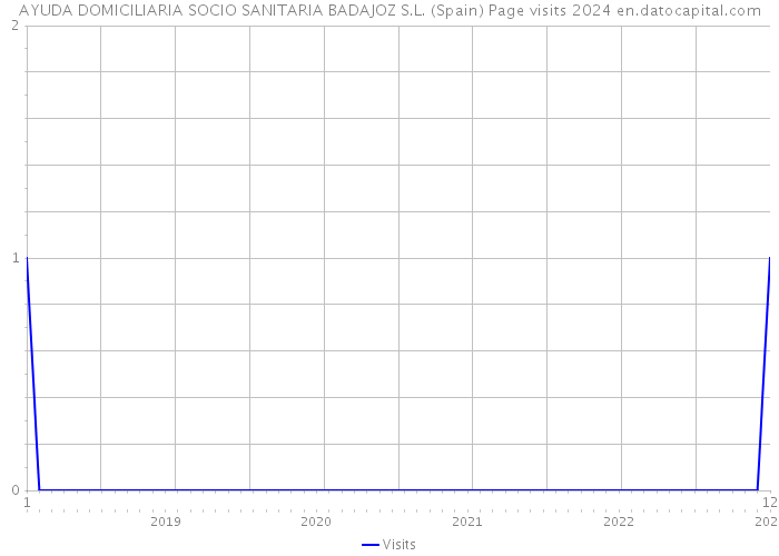 AYUDA DOMICILIARIA SOCIO SANITARIA BADAJOZ S.L. (Spain) Page visits 2024 