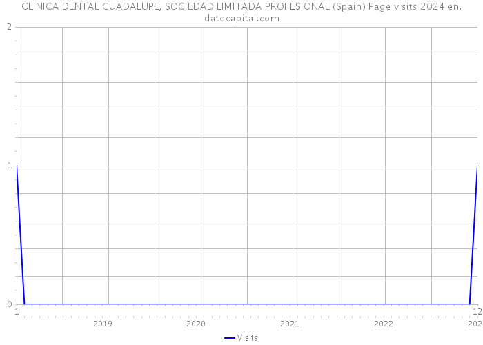 CLINICA DENTAL GUADALUPE, SOCIEDAD LIMITADA PROFESIONAL (Spain) Page visits 2024 