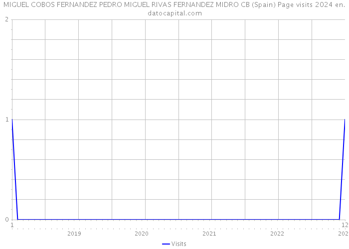 MIGUEL COBOS FERNANDEZ PEDRO MIGUEL RIVAS FERNANDEZ MIDRO CB (Spain) Page visits 2024 