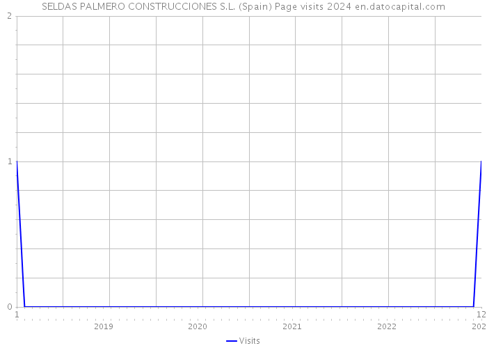 SELDAS PALMERO CONSTRUCCIONES S.L. (Spain) Page visits 2024 