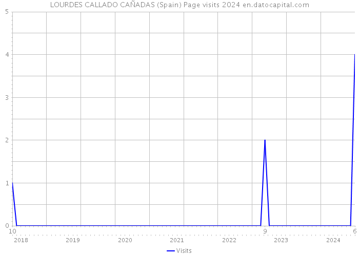 LOURDES CALLADO CAÑADAS (Spain) Page visits 2024 
