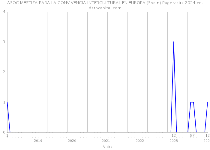 ASOC MESTIZA PARA LA CONVIVENCIA INTERCULTURAL EN EUROPA (Spain) Page visits 2024 