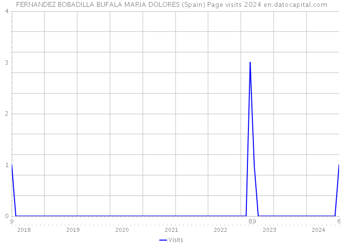 FERNANDEZ BOBADILLA BUFALA MARIA DOLORES (Spain) Page visits 2024 