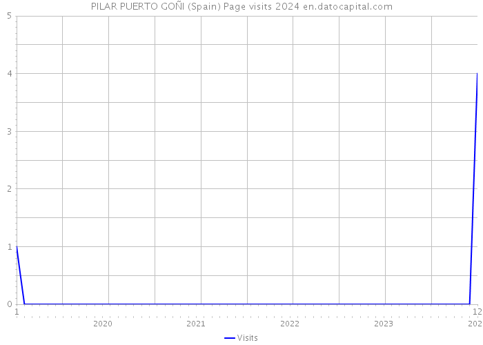 PILAR PUERTO GOÑI (Spain) Page visits 2024 