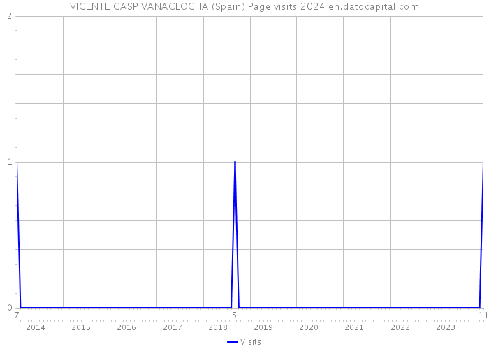 VICENTE CASP VANACLOCHA (Spain) Page visits 2024 