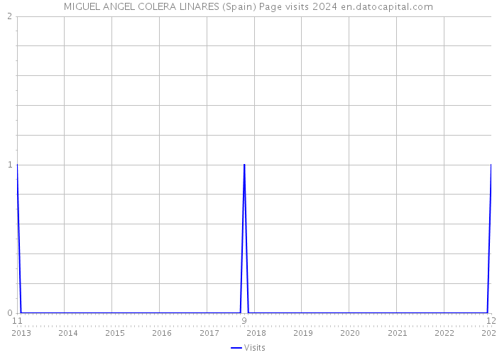 MIGUEL ANGEL COLERA LINARES (Spain) Page visits 2024 