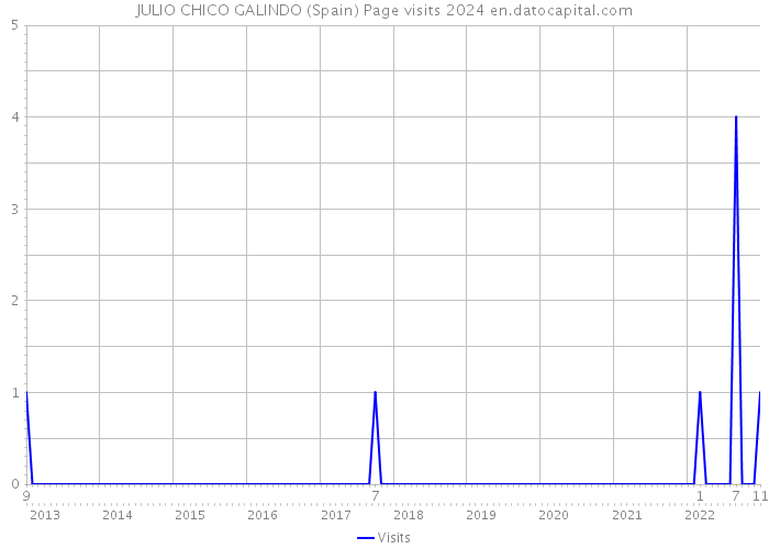 JULIO CHICO GALINDO (Spain) Page visits 2024 