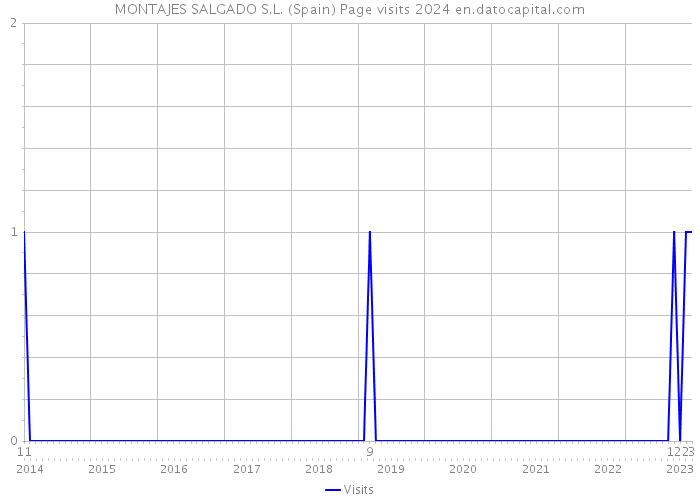 MONTAJES SALGADO S.L. (Spain) Page visits 2024 