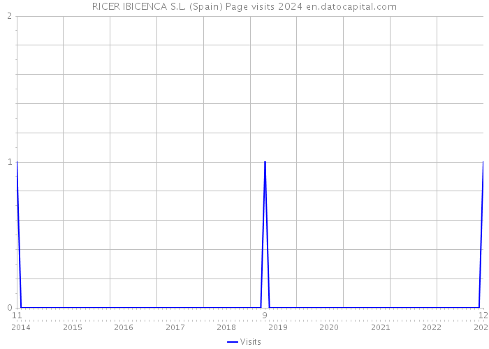 RICER IBICENCA S.L. (Spain) Page visits 2024 