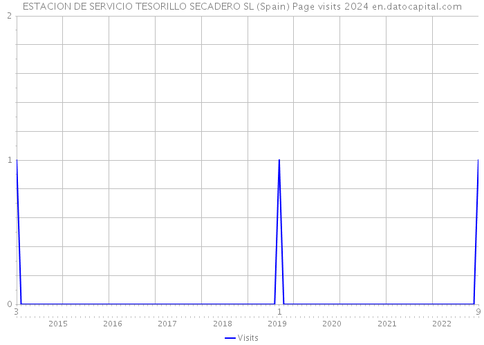 ESTACION DE SERVICIO TESORILLO SECADERO SL (Spain) Page visits 2024 