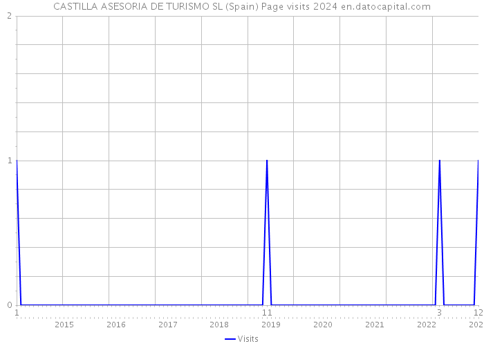 CASTILLA ASESORIA DE TURISMO SL (Spain) Page visits 2024 