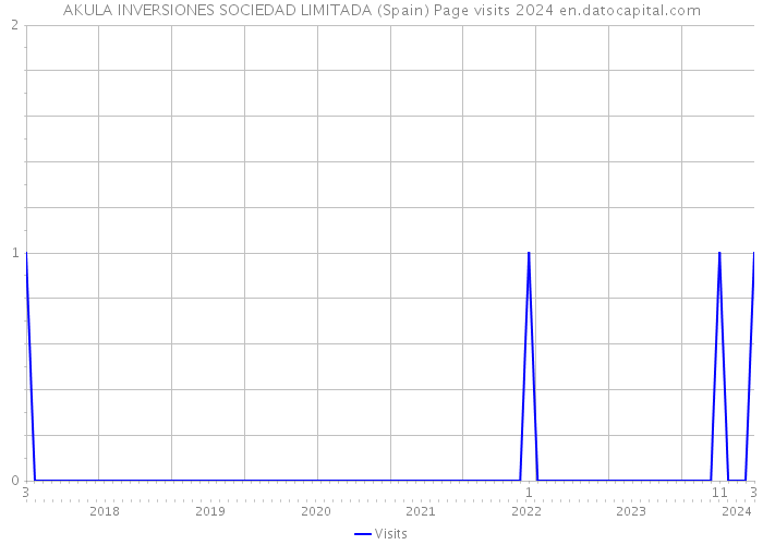 AKULA INVERSIONES SOCIEDAD LIMITADA (Spain) Page visits 2024 