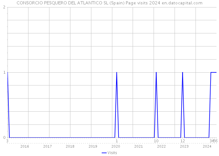 CONSORCIO PESQUERO DEL ATLANTICO SL (Spain) Page visits 2024 