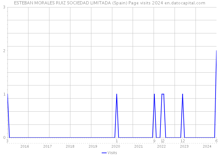 ESTEBAN MORALES RUIZ SOCIEDAD LIMITADA (Spain) Page visits 2024 