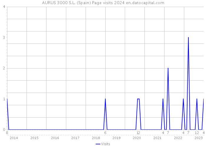 AURUS 3000 S.L. (Spain) Page visits 2024 