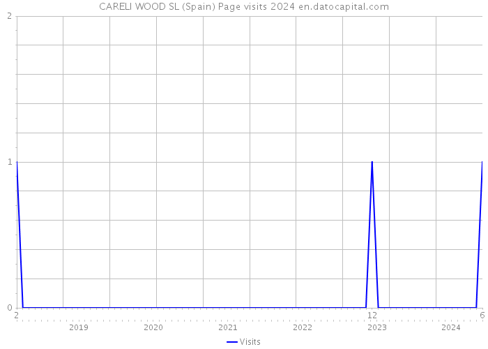 CARELI WOOD SL (Spain) Page visits 2024 