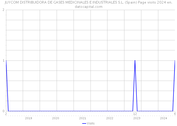 JUYCOM DISTRIBUIDORA DE GASES MEDICINALES E INDUSTRIALES S.L. (Spain) Page visits 2024 