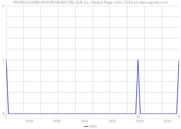 PROMOCIONES MONTE NEGRO DEL SUR S.L. (Spain) Page visits 2024 