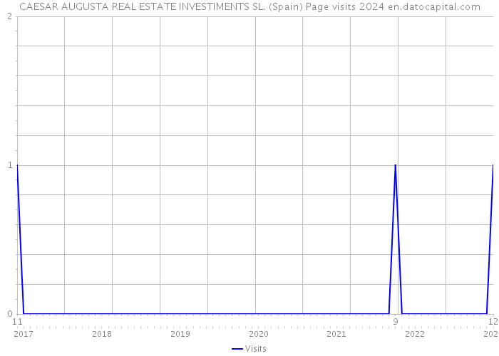CAESAR AUGUSTA REAL ESTATE INVESTIMENTS SL. (Spain) Page visits 2024 