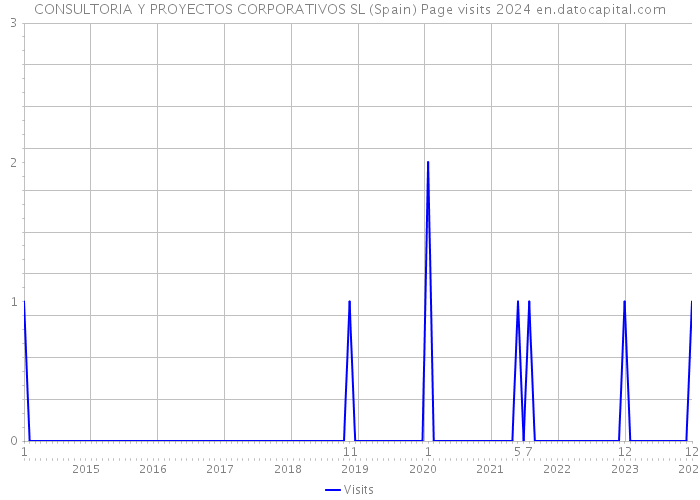 CONSULTORIA Y PROYECTOS CORPORATIVOS SL (Spain) Page visits 2024 
