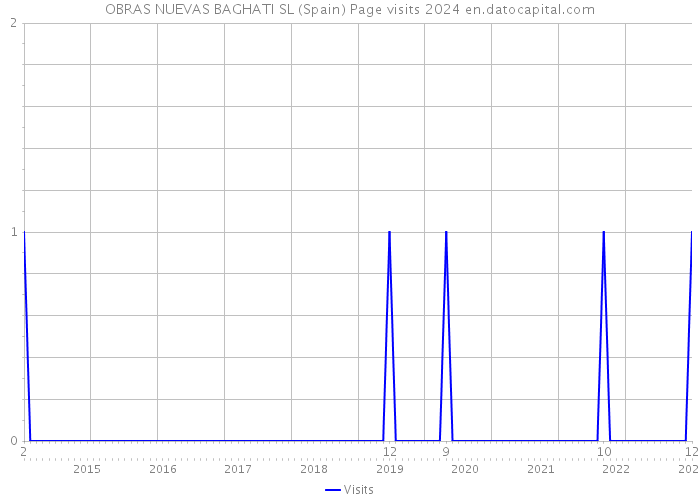 OBRAS NUEVAS BAGHATI SL (Spain) Page visits 2024 