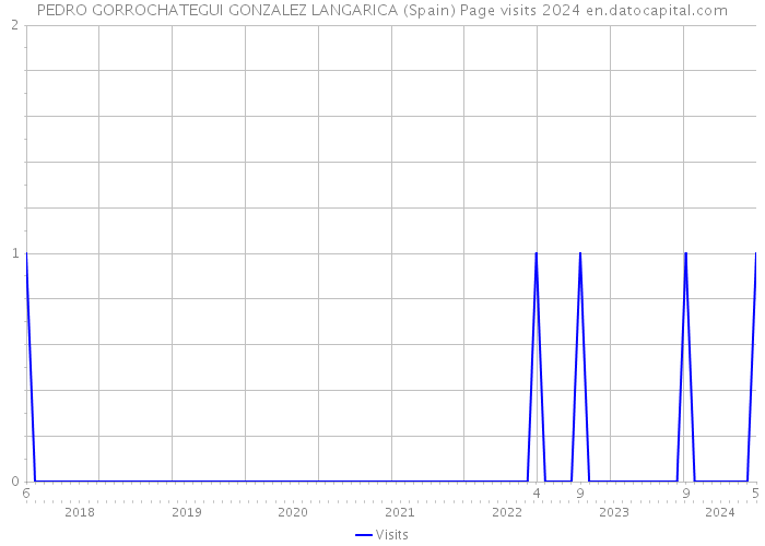 PEDRO GORROCHATEGUI GONZALEZ LANGARICA (Spain) Page visits 2024 