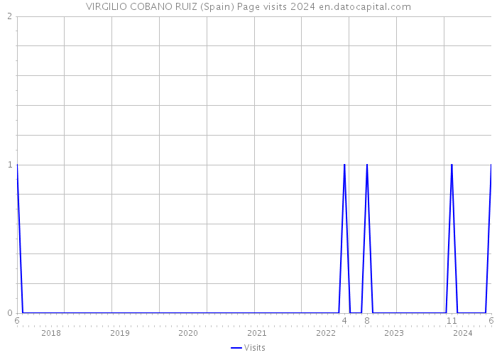 VIRGILIO COBANO RUIZ (Spain) Page visits 2024 