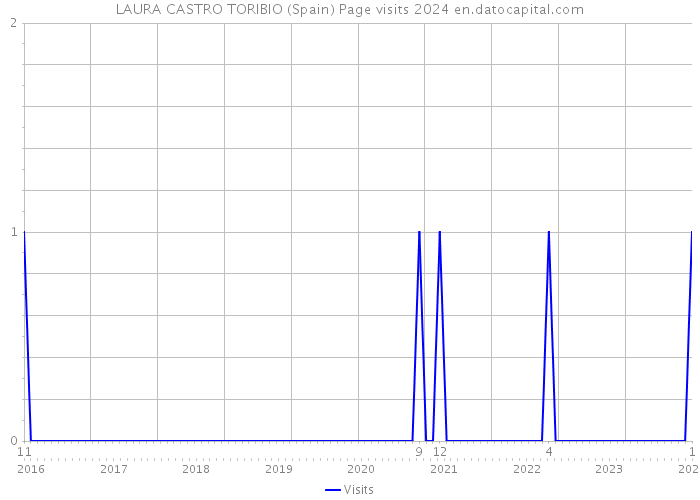 LAURA CASTRO TORIBIO (Spain) Page visits 2024 