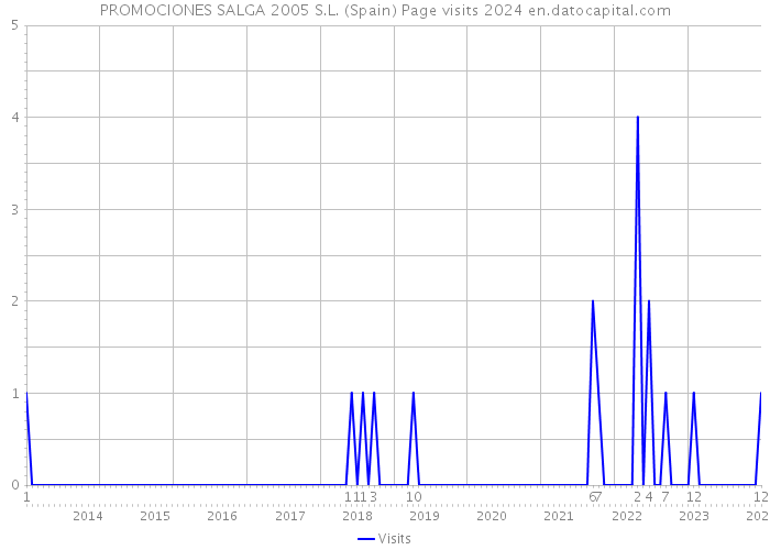 PROMOCIONES SALGA 2005 S.L. (Spain) Page visits 2024 