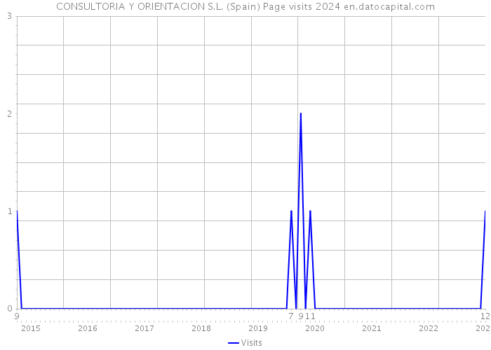 CONSULTORIA Y ORIENTACION S.L. (Spain) Page visits 2024 