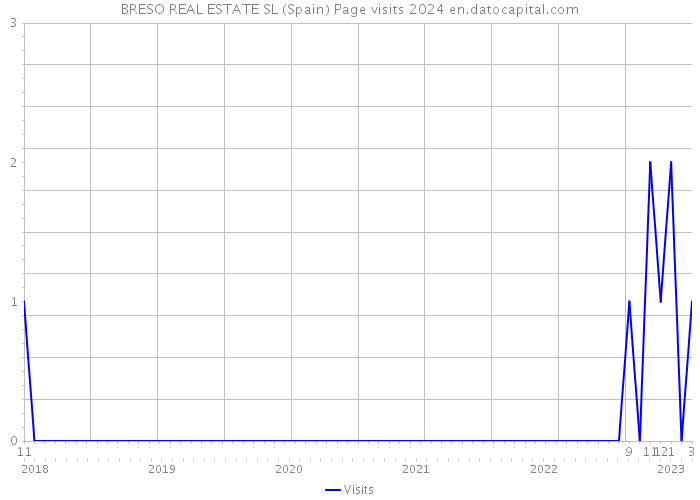 BRESO REAL ESTATE SL (Spain) Page visits 2024 