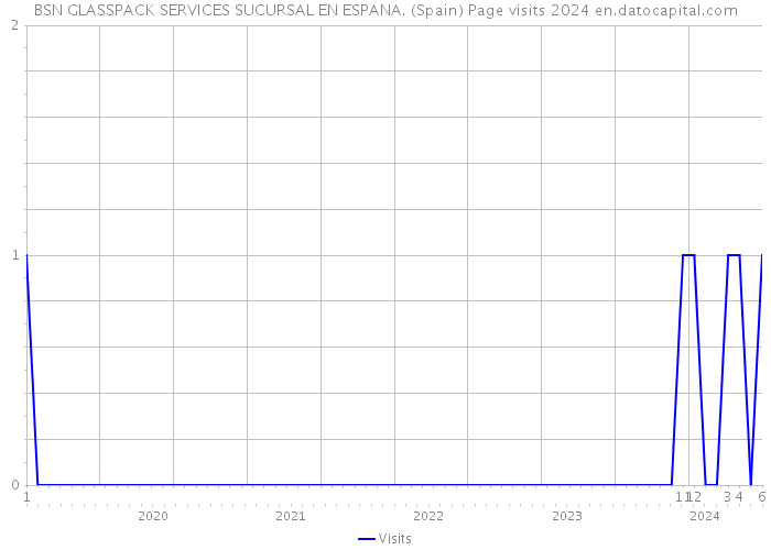 BSN GLASSPACK SERVICES SUCURSAL EN ESPANA. (Spain) Page visits 2024 