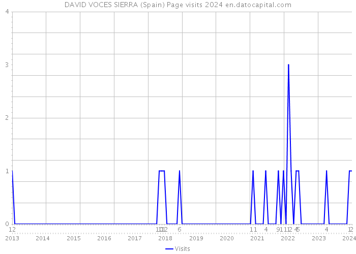 DAVID VOCES SIERRA (Spain) Page visits 2024 