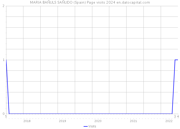 MARIA BAÑULS SAÑUDO (Spain) Page visits 2024 