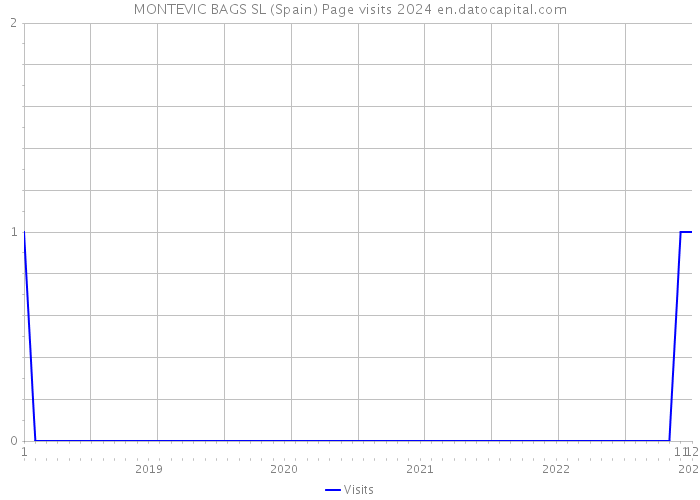 MONTEVIC BAGS SL (Spain) Page visits 2024 