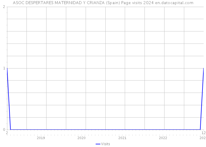 ASOC DESPERTARES MATERNIDAD Y CRIANZA (Spain) Page visits 2024 