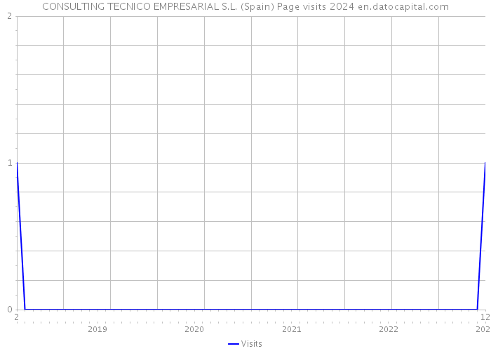 CONSULTING TECNICO EMPRESARIAL S.L. (Spain) Page visits 2024 