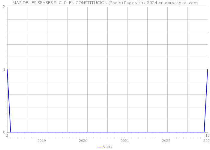 MAS DE LES BRASES S. C. P. EN CONSTITUCION (Spain) Page visits 2024 