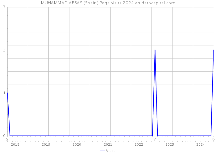 MUHAMMAD ABBAS (Spain) Page visits 2024 