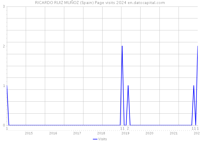 RICARDO RUIZ MUÑOZ (Spain) Page visits 2024 