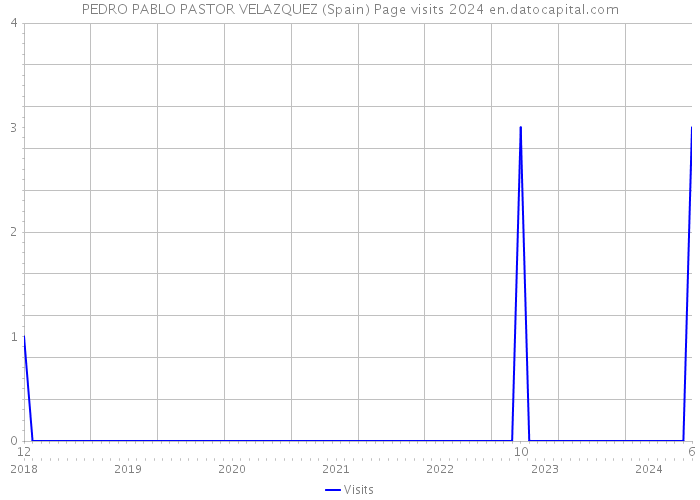 PEDRO PABLO PASTOR VELAZQUEZ (Spain) Page visits 2024 