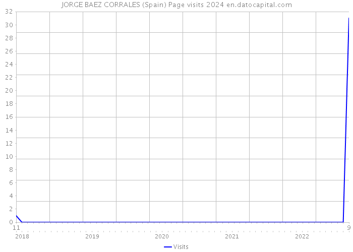 JORGE BAEZ CORRALES (Spain) Page visits 2024 