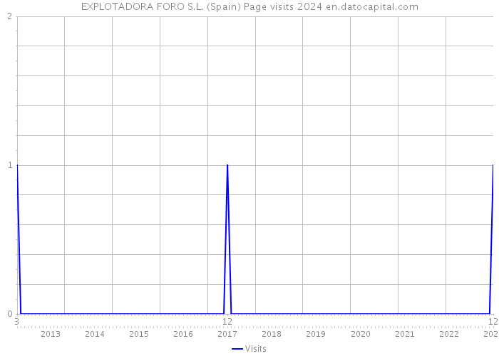 EXPLOTADORA FORO S.L. (Spain) Page visits 2024 