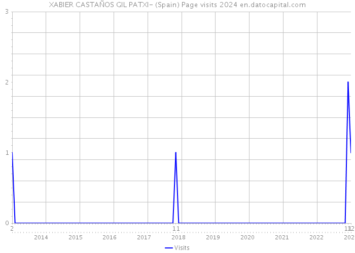 XABIER CASTAÑOS GIL PATXI- (Spain) Page visits 2024 