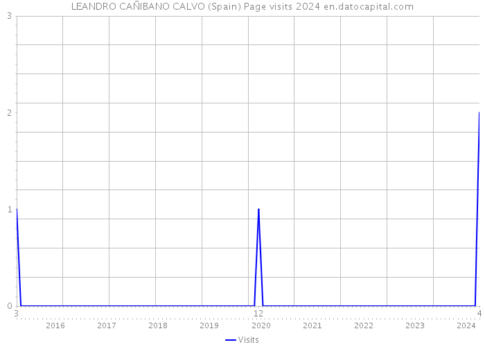LEANDRO CAÑIBANO CALVO (Spain) Page visits 2024 