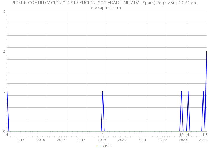 PIGNUR COMUNICACION Y DISTRIBUCION, SOCIEDAD LIMITADA (Spain) Page visits 2024 