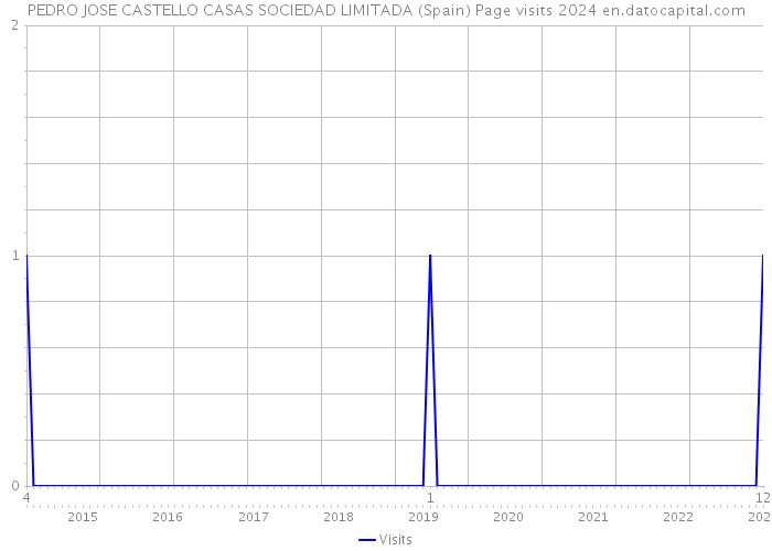 PEDRO JOSE CASTELLO CASAS SOCIEDAD LIMITADA (Spain) Page visits 2024 